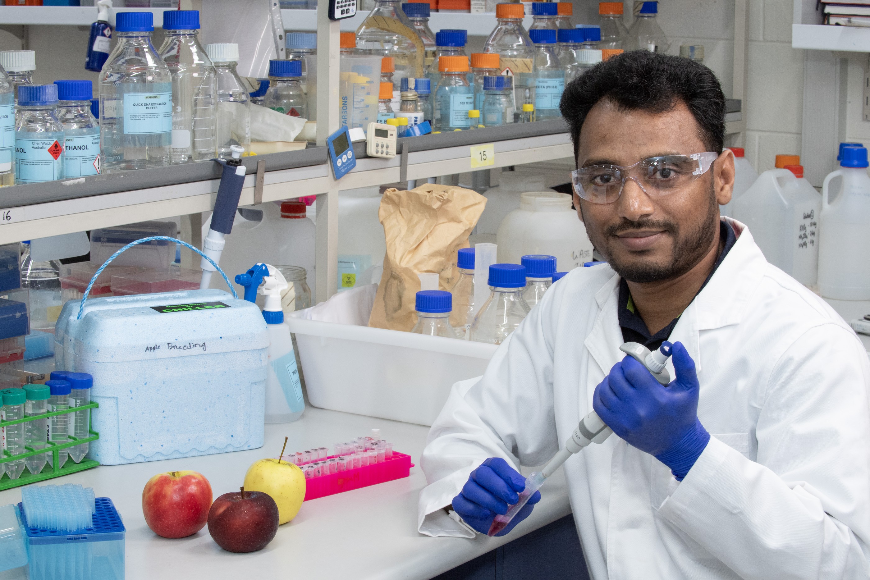 DPIRD geneticist Dr Sultan Mia in laboratory